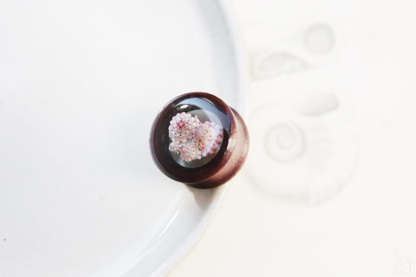 Seashell ear tunnel / Redwood earplug with Okinawan seashells
