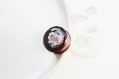 Seashell ear tunnel / Redwood earplug with Okinawan seashells