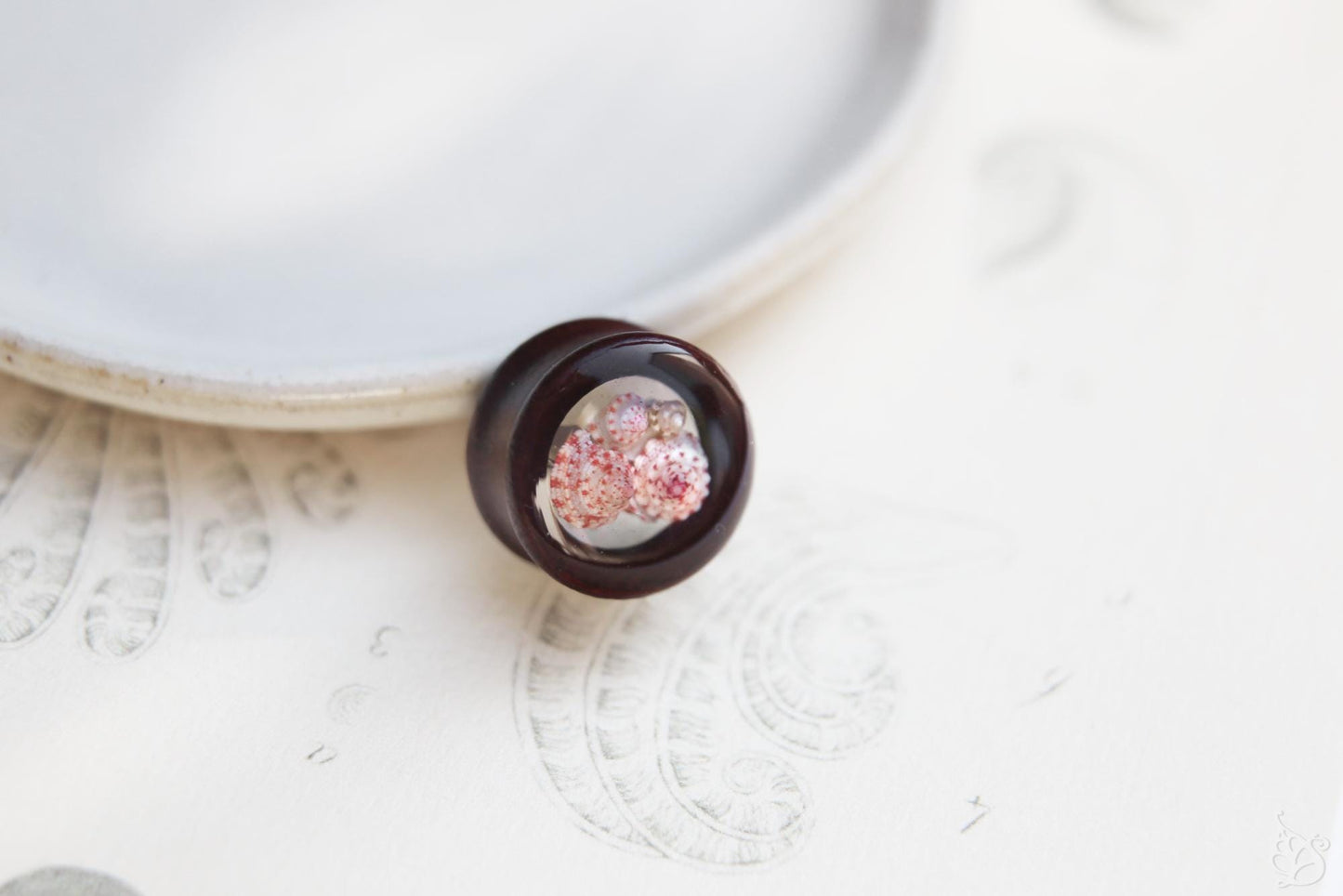Seashell ear tunnel / Redwood earplug with Okinawan seashells
