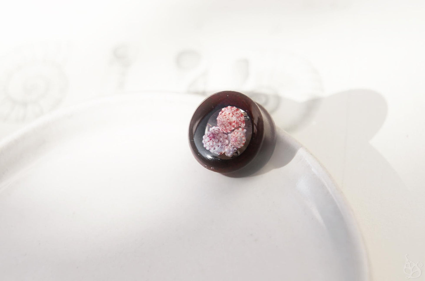 Seashell ear tunnel / Redwood earplug with Okinawan seashells