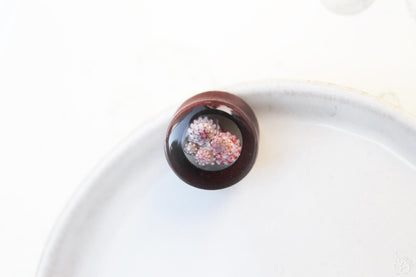 Seashell ear tunnel / Redwood earplug with Okinawan seashells