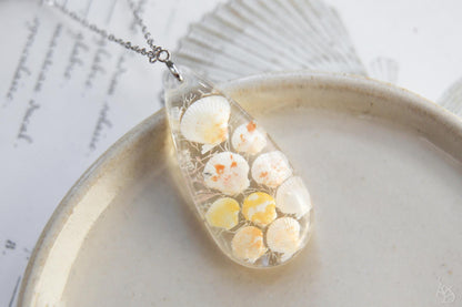 Pectinidae maximus / Pendant with scallop seashells from Okinawa, Japan