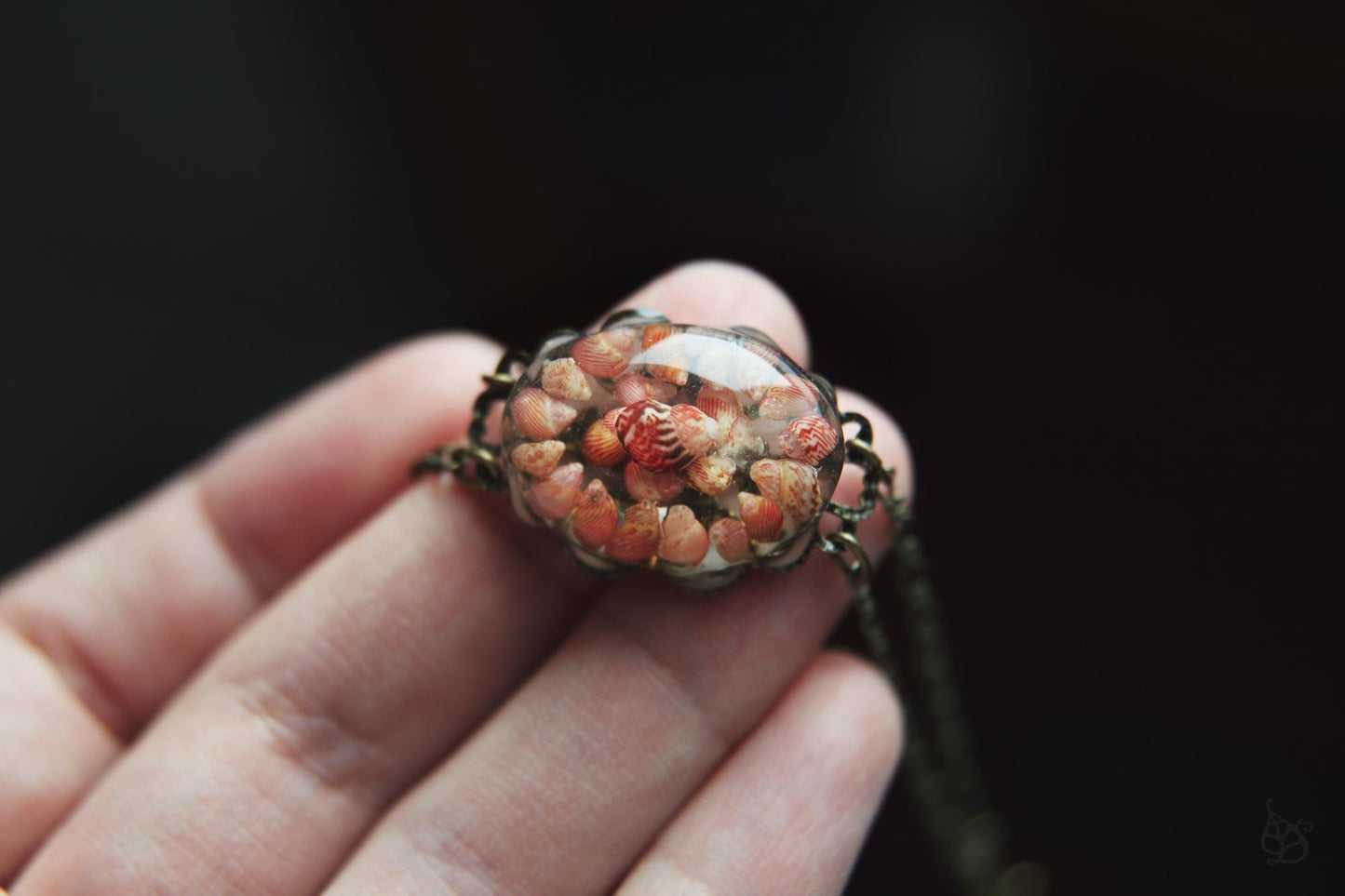 Les Rouges / Bracelet with pheasant seashells from Brittany, France