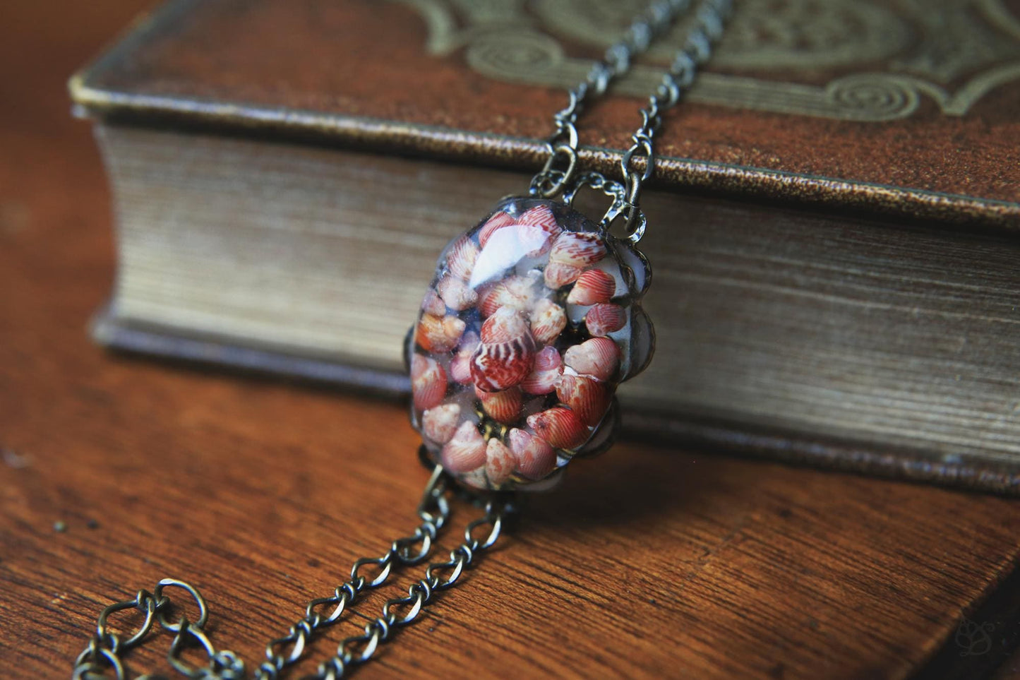 Les Rouges / Bracelet with pheasant seashells from Brittany, France