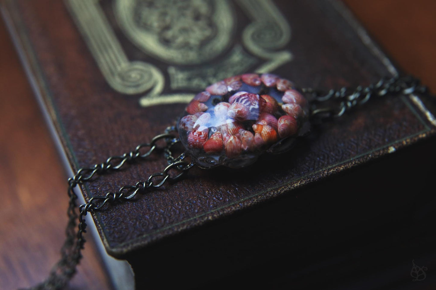 Les Rouges / Bracelet with pheasant seashells from Brittany, France