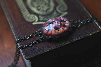 Les Rouges / Bracelet with pheasant seashells from Brittany, France