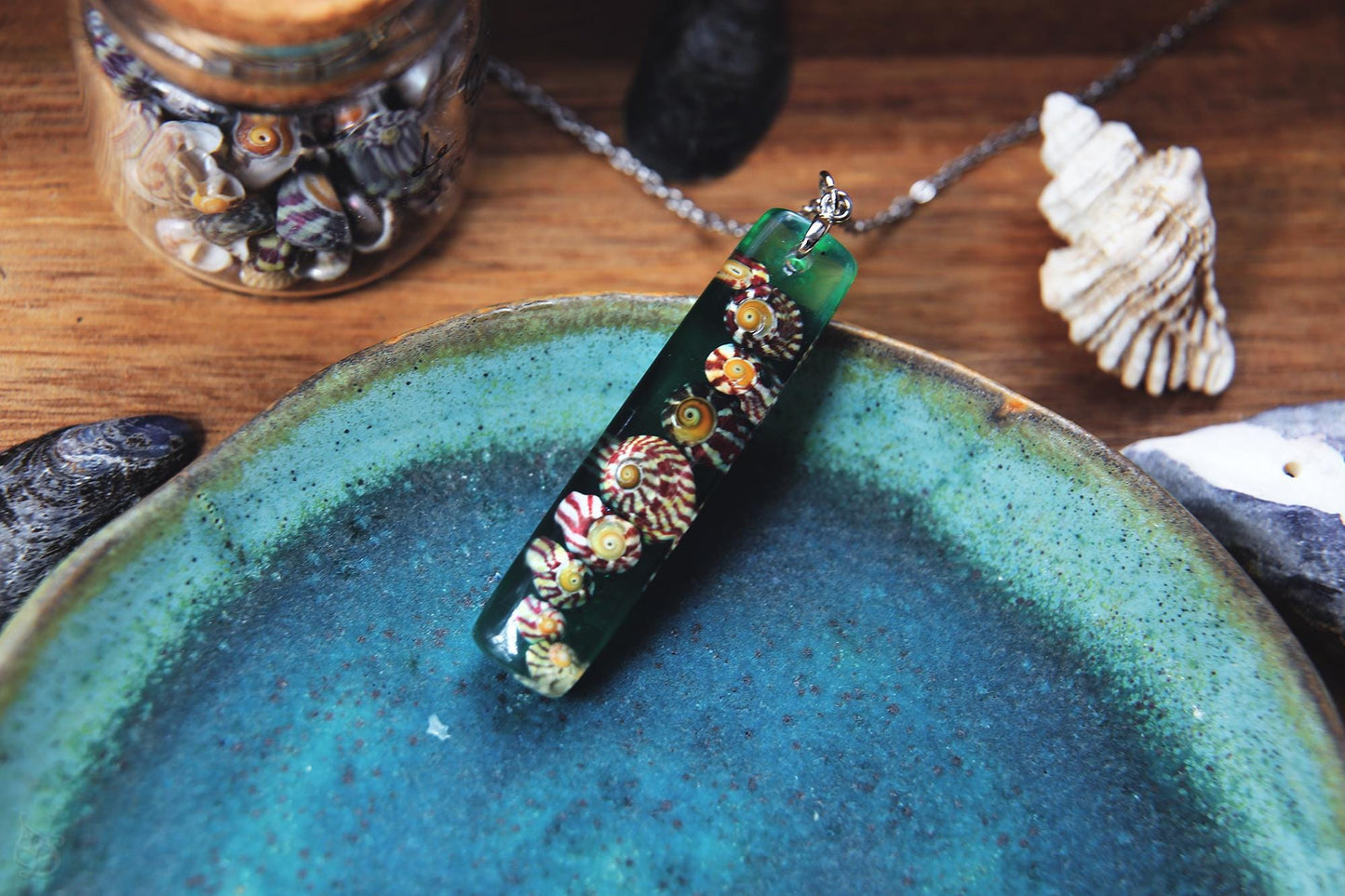 Gibbulas of Le Croisic / Real seashell pendant