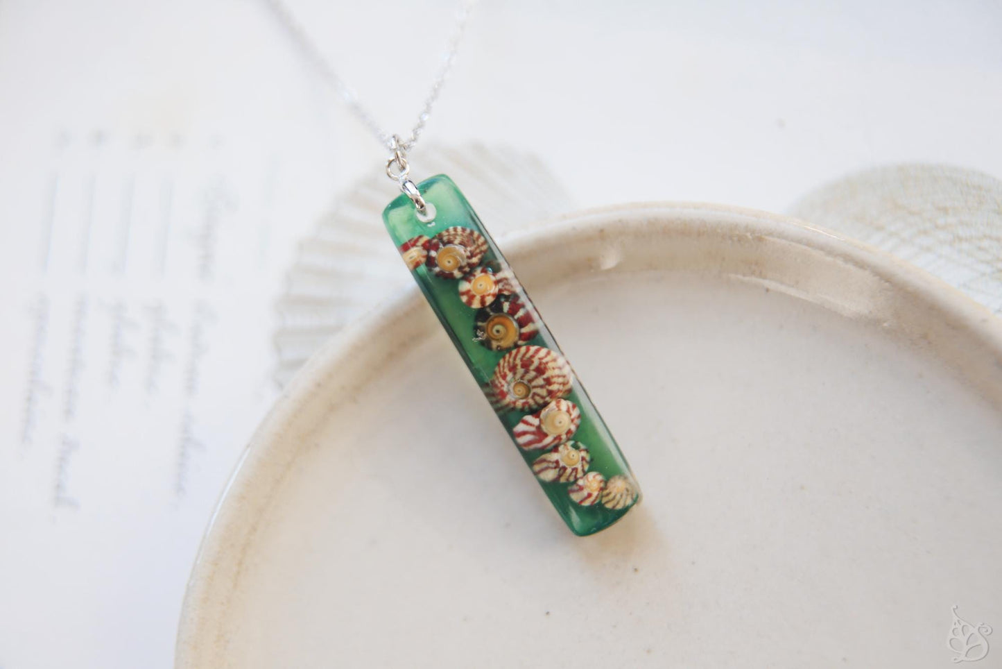 Gibbulas of Le Croisic / Real seashell pendant