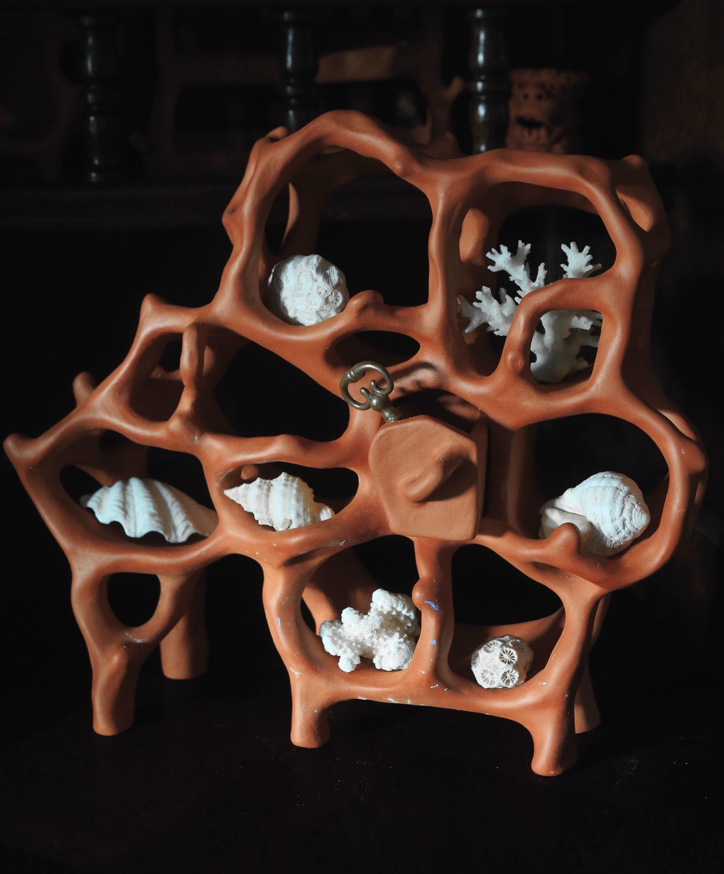 Air Chambers / Ceramic Curiosity Cabinet