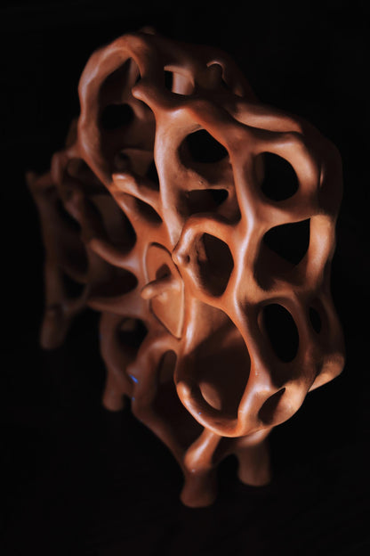 Air Chambers / Ceramic Curiosity Cabinet