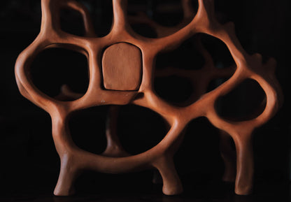 Air Chambers / Ceramic Curiosity Cabinet