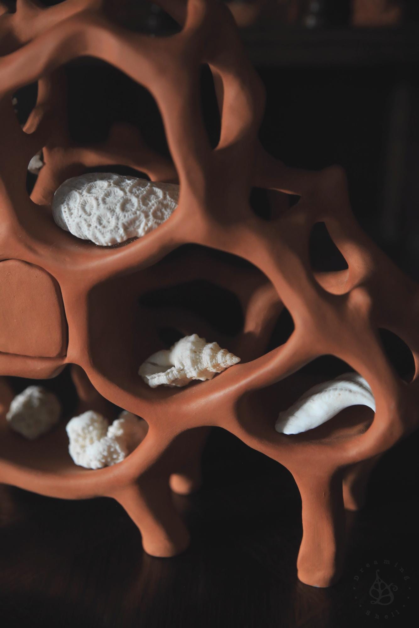 Air Chambers / Ceramic Curiosity Cabinet