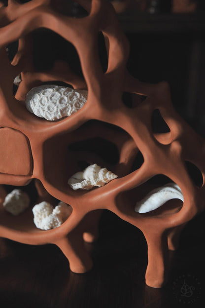 Air Chambers / Ceramic Curiosity Cabinet