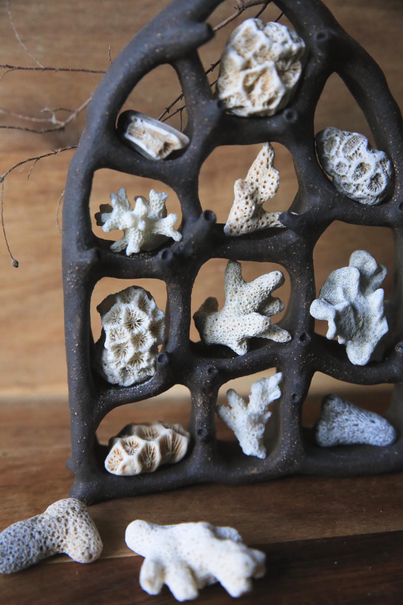 The View / Black Clay Ceramic Curiosity Cabinet