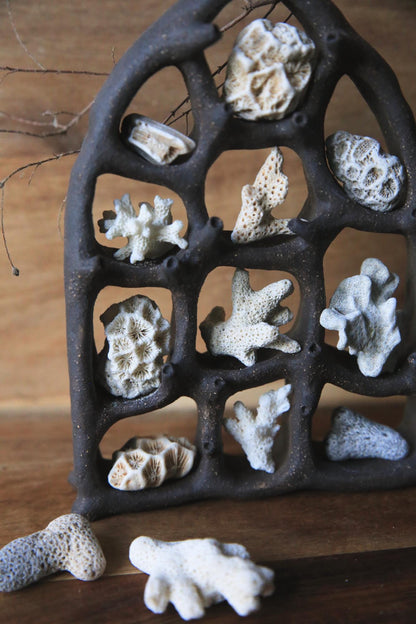 The View / Black Clay Ceramic Curiosity Cabinet