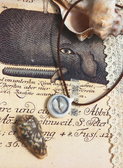 Cowry / Porcelain Pendant