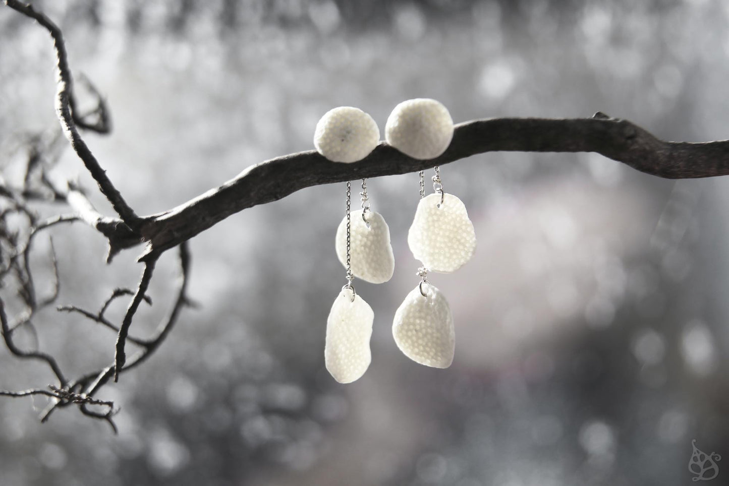 Coral Blinks / Porcelain Earjacket Earrings