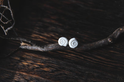 Ammonites / Porcelain Earrings