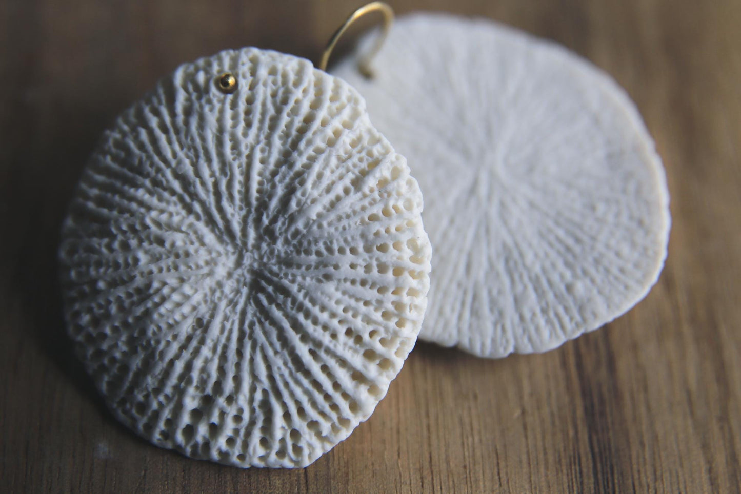 Fungiidae / Porcelain Earrings