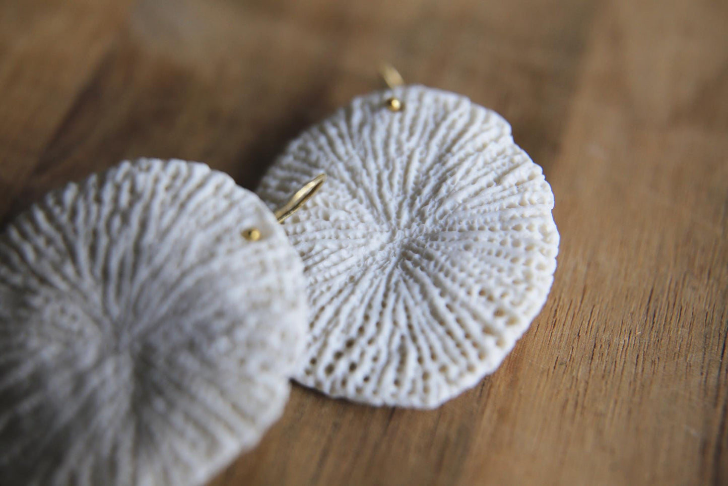 Fungiidae / Porcelain Earrings