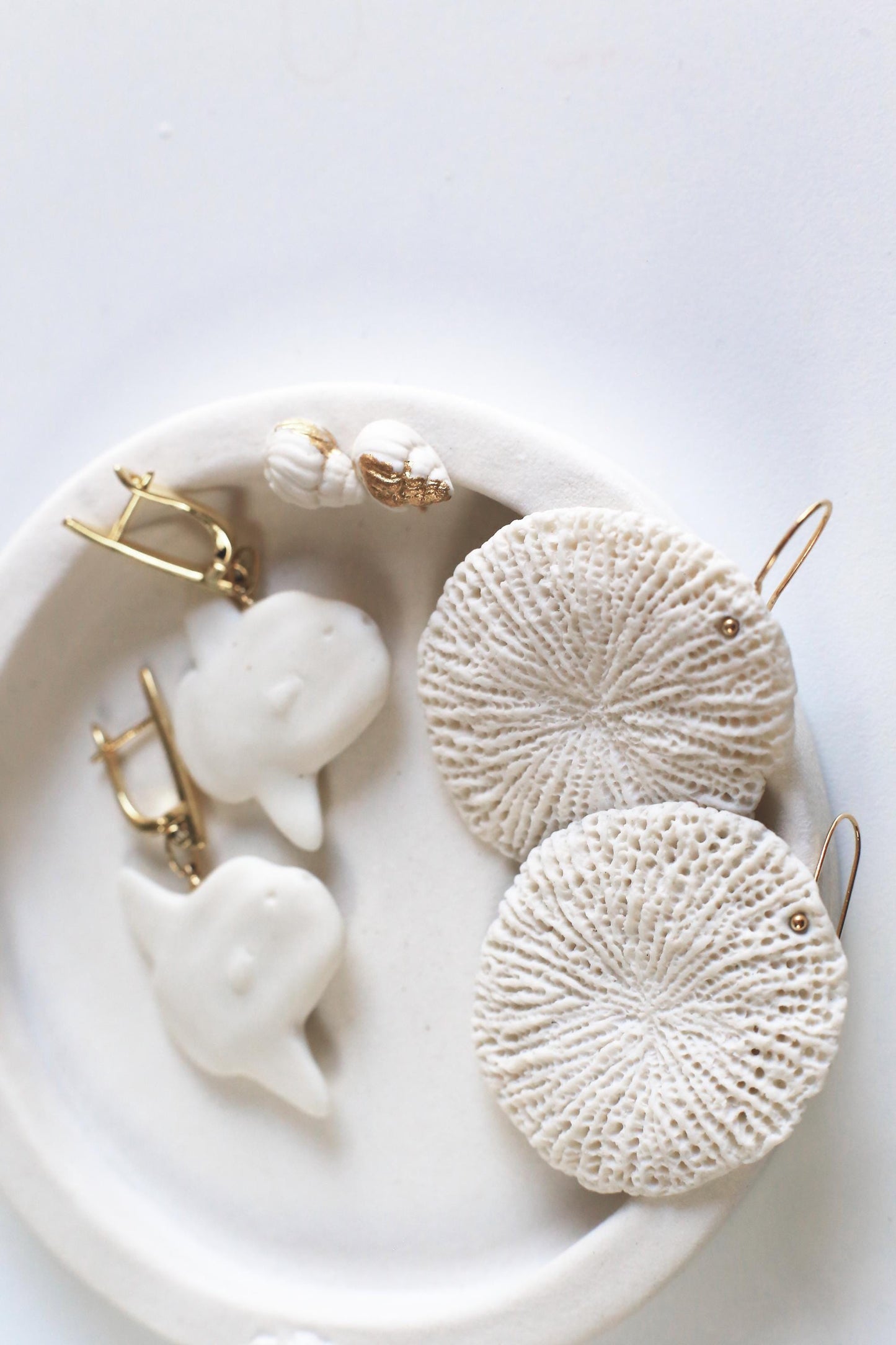 Fungiidae / Porcelain Earrings