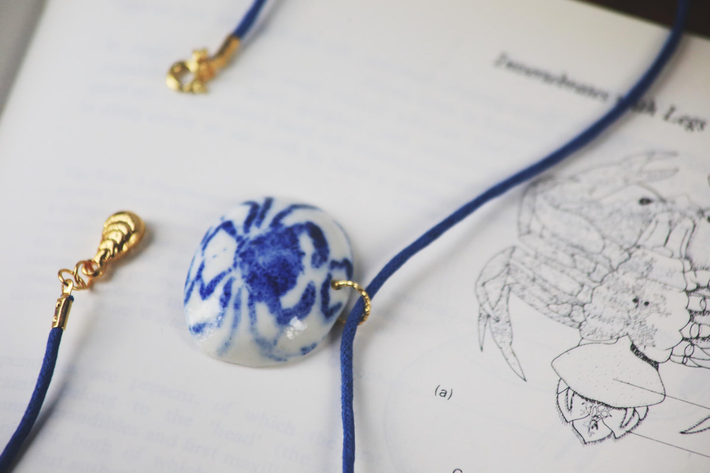 Brachyura / Porcelain Earrings and Necklace