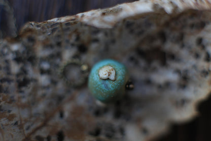 Patina Shells / Porcelain Earrings and Pendant