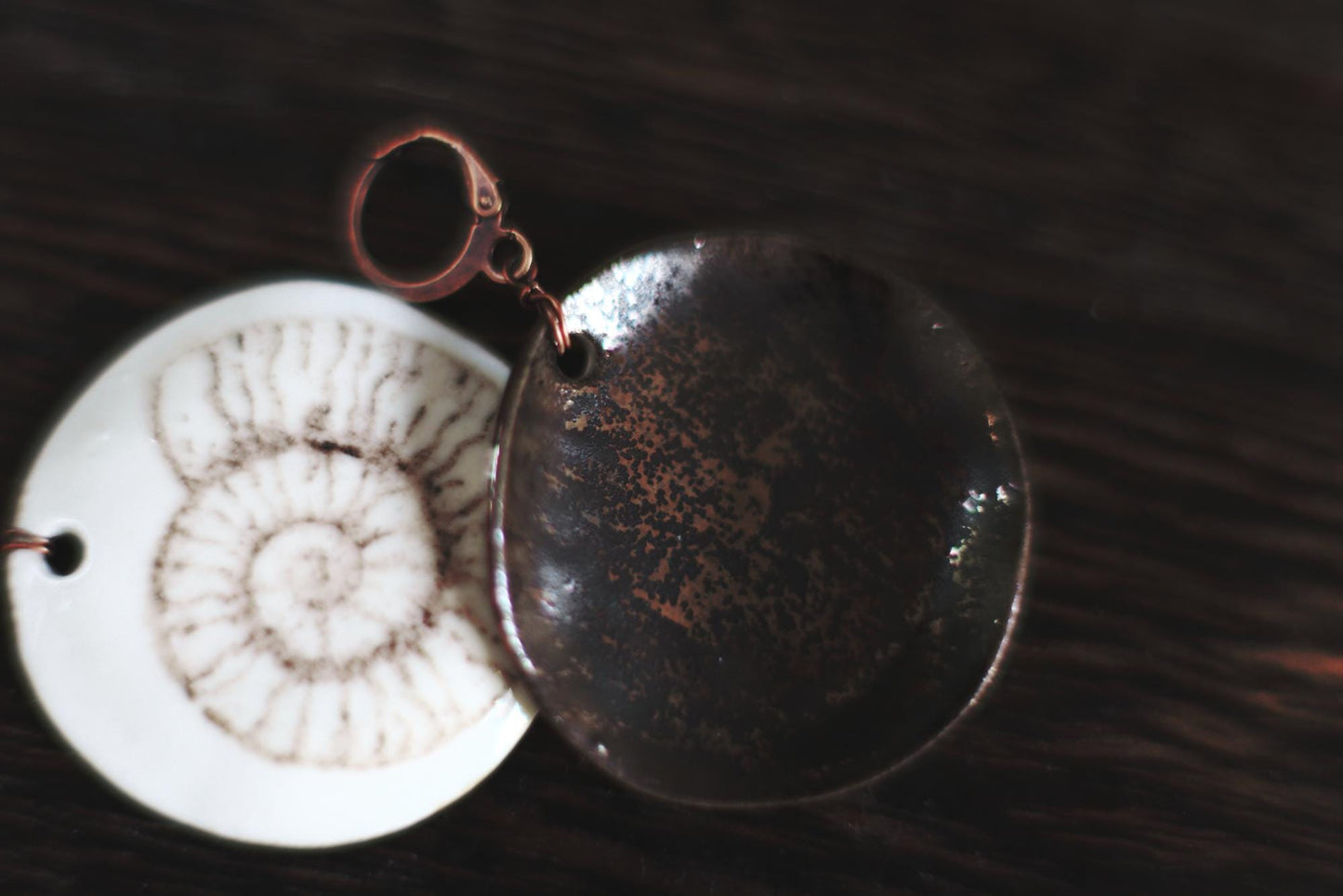 Ammonoidea / Porcelain Earrings
