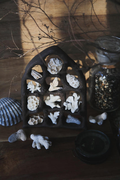 The View / Black Clay Ceramic Curiosity Cabinet