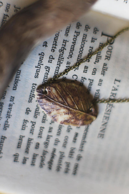 Perfectly Wilted  / Porcelain