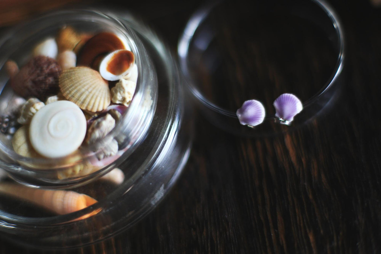 Minima Lilac / Porcelain Seashell Studs