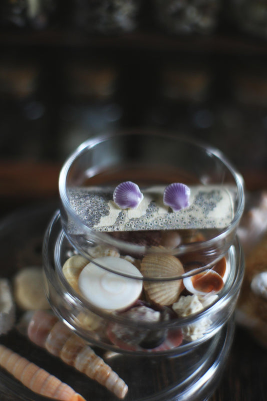 Minima Lilac / Porcelain Seashell Studs