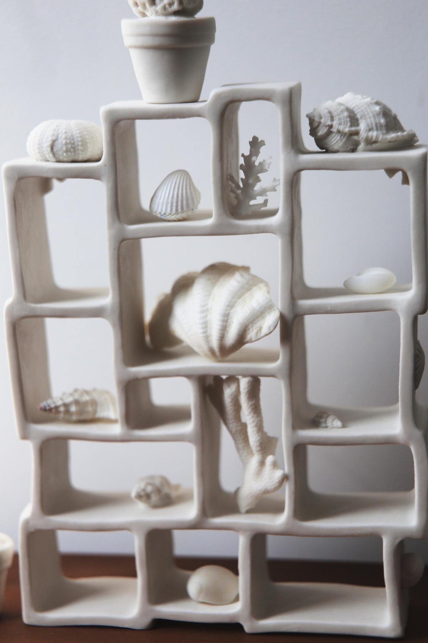 Trompe l'oeil / Porcelain Curiosity Cabinet