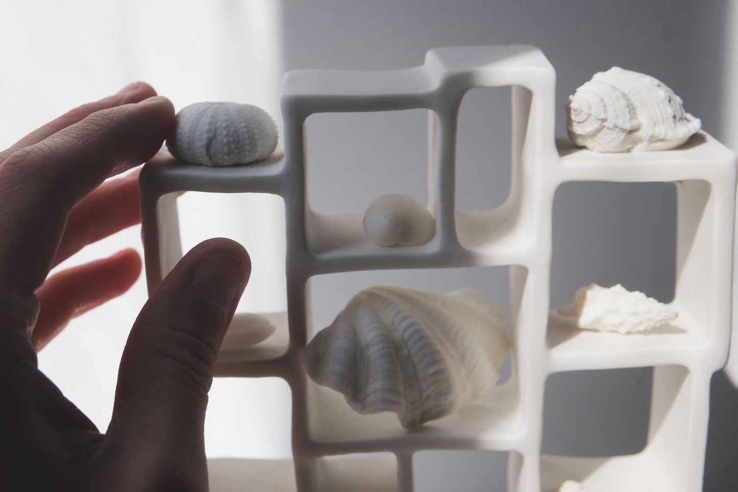 Trompe l'oeil / Porcelain Curiosity Cabinet