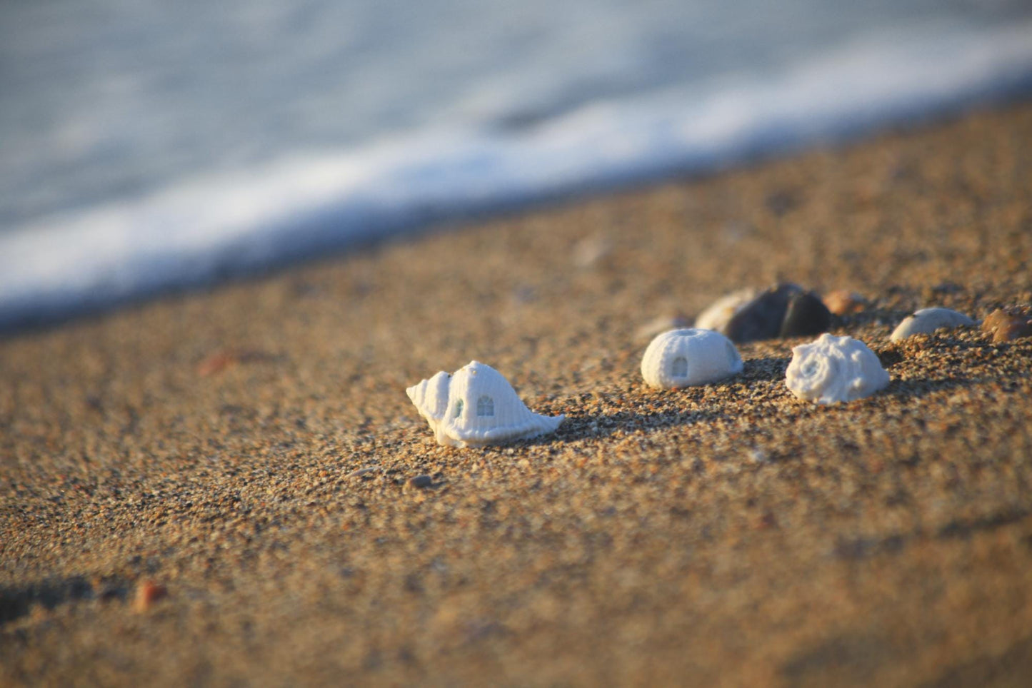 Shell Dwellings / Porcelain