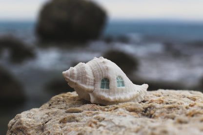 Shell Dwellings / Porcelain