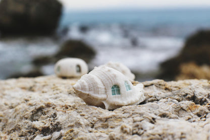 Shell Dwellings / Porcelain