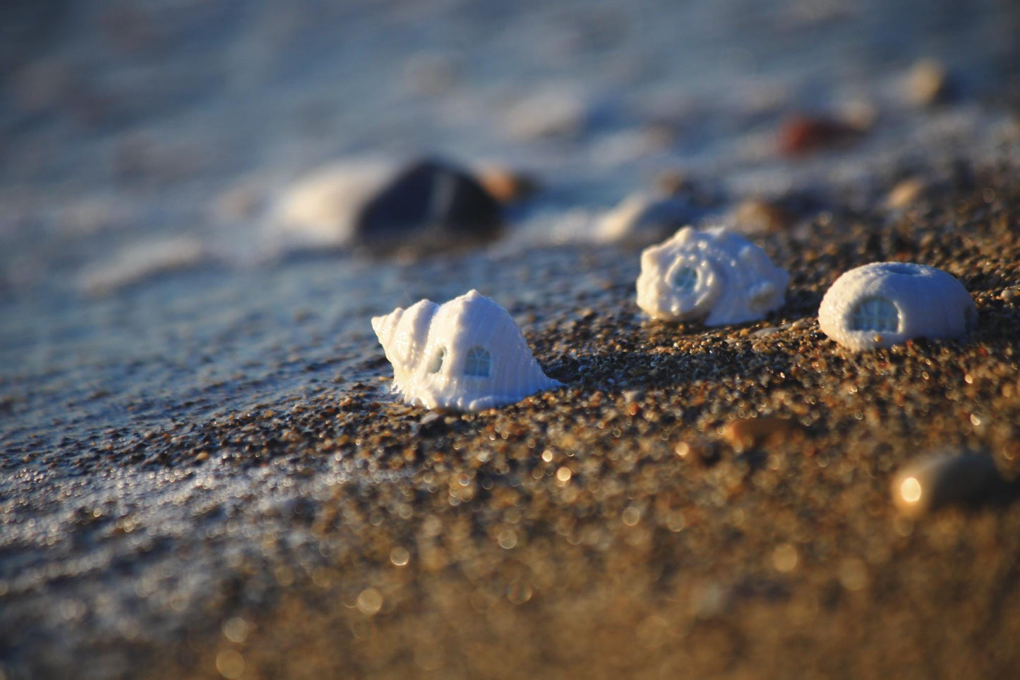 Shell Dwellings / Porcelain