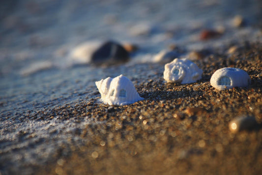 Shell Dwellings / Porcelain