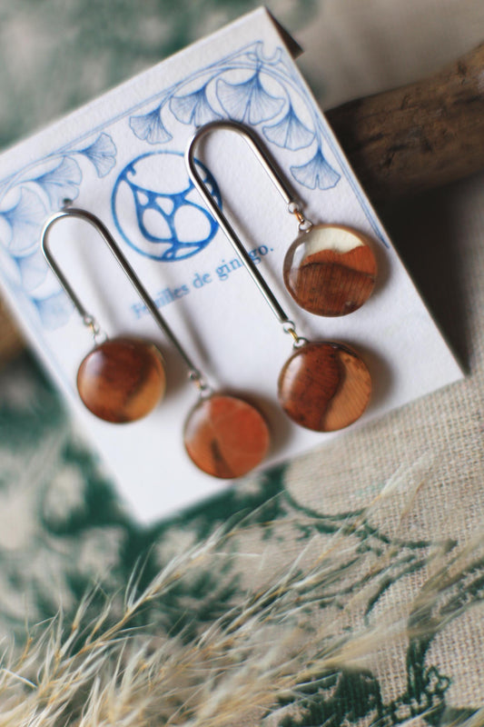 Plains / Ginkgo leaves earrings