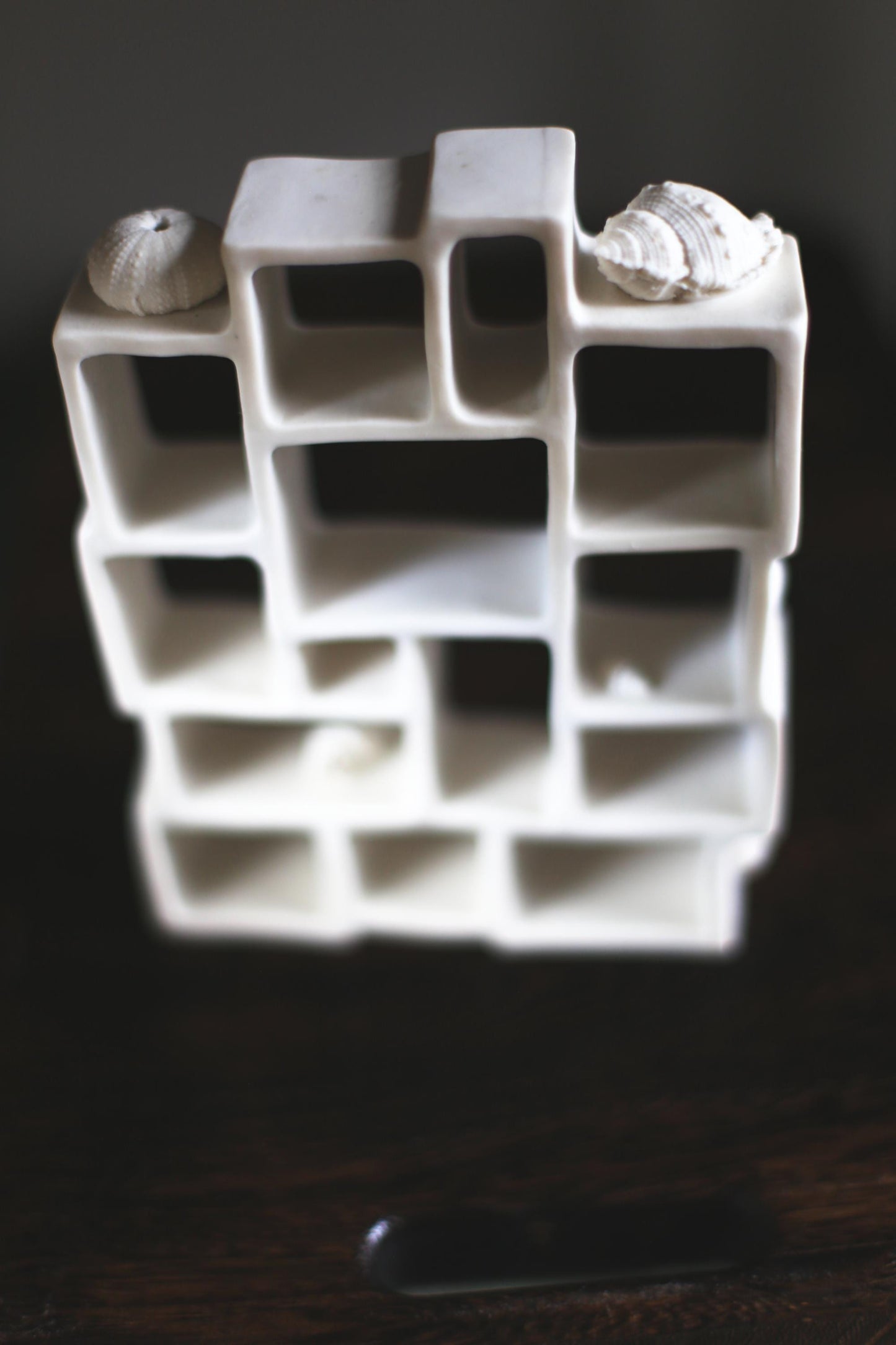 Trompe l'oeil / Porcelain Curiosity Cabinet