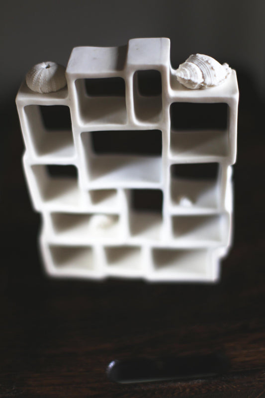 Trompe l'oeil / Porcelain Curiosity Cabinet