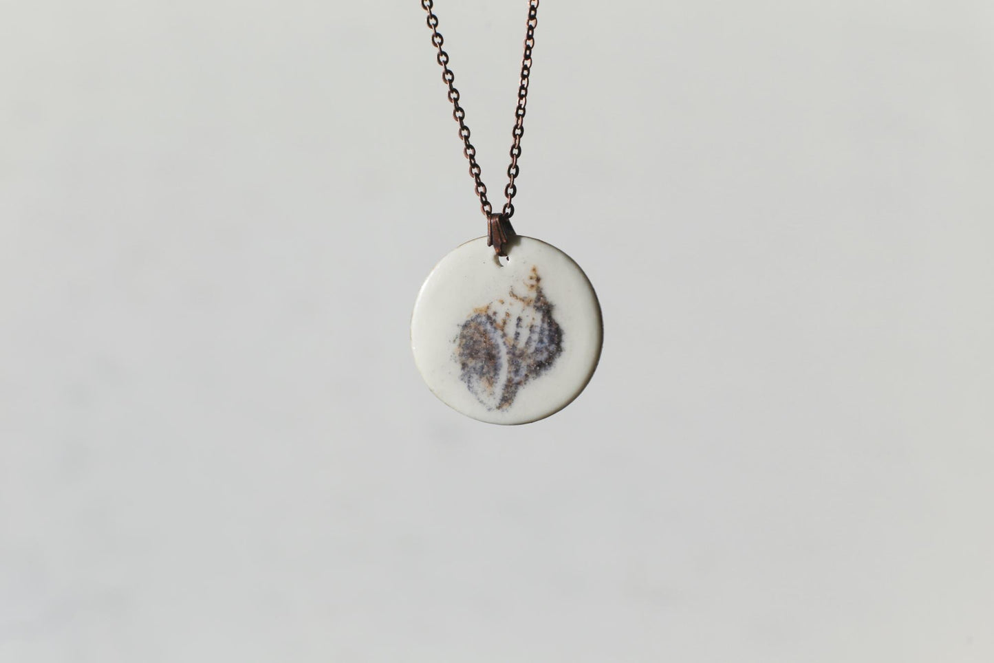 Mollusques testacés / Porcelain Pendant
