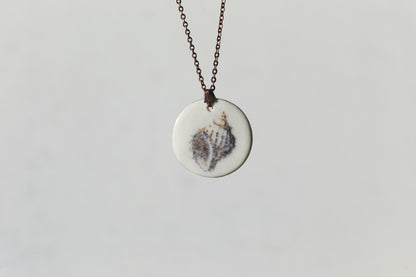 Mollusques testacés / Porcelain Pendant