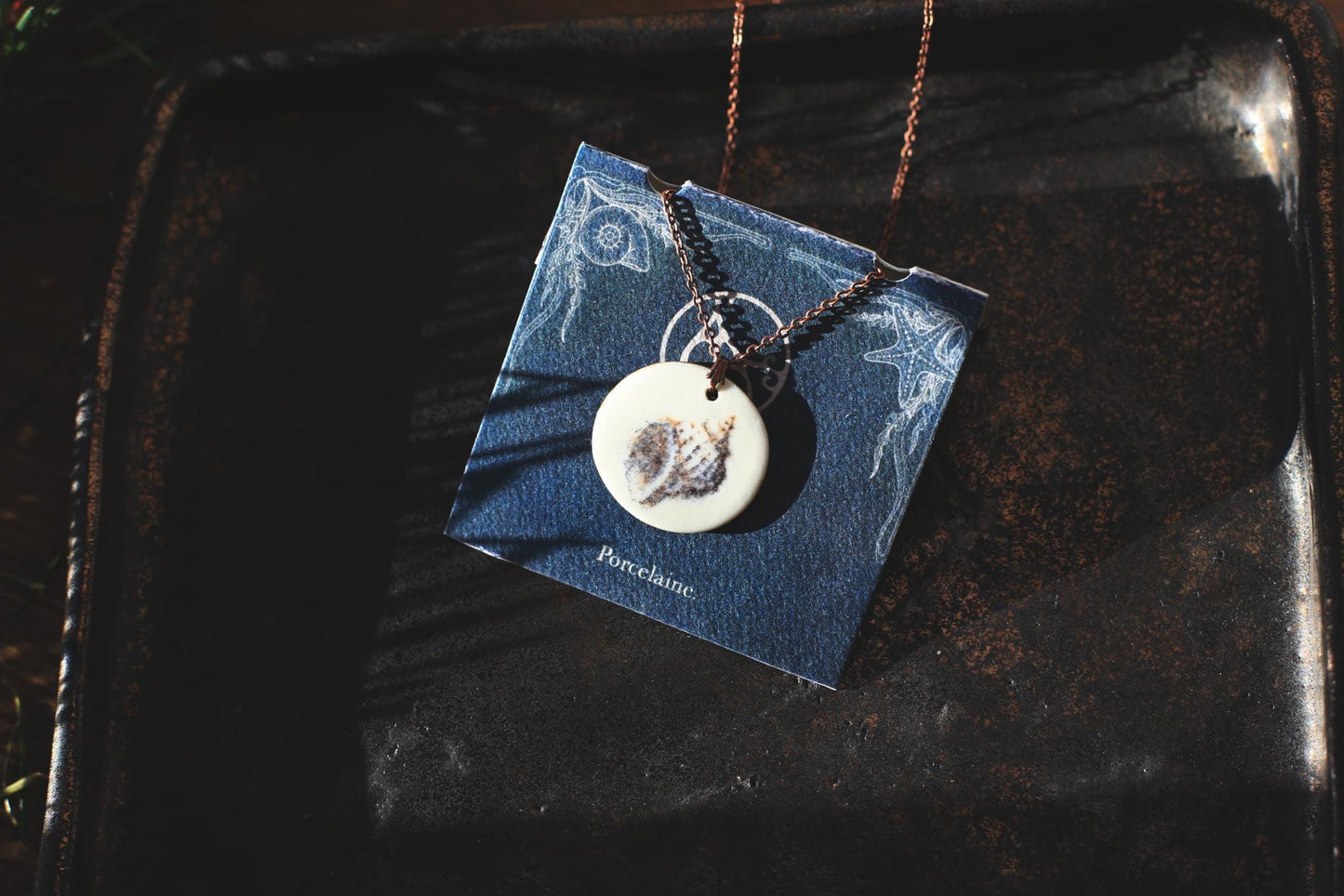 Mollusques testacés / Porcelain Pendant