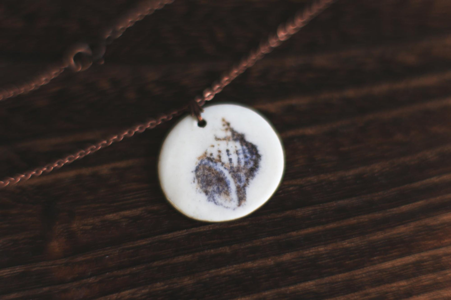 Mollusques testacés / Porcelain Pendant