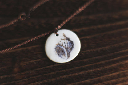 Mollusques testacés / Porcelain Pendant