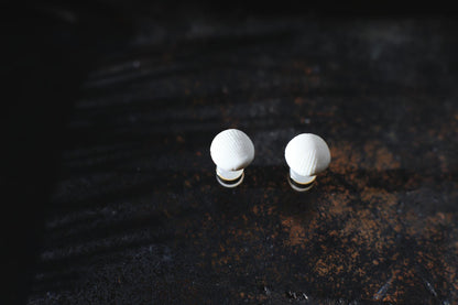 Shell Capsules /Porcelain and Gold Seashell Earrings