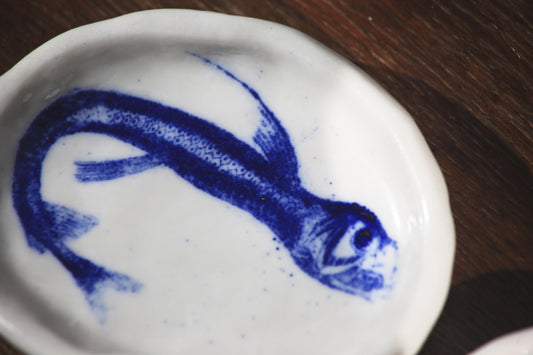 Chauliodus / Small Porcelain Ring Dish