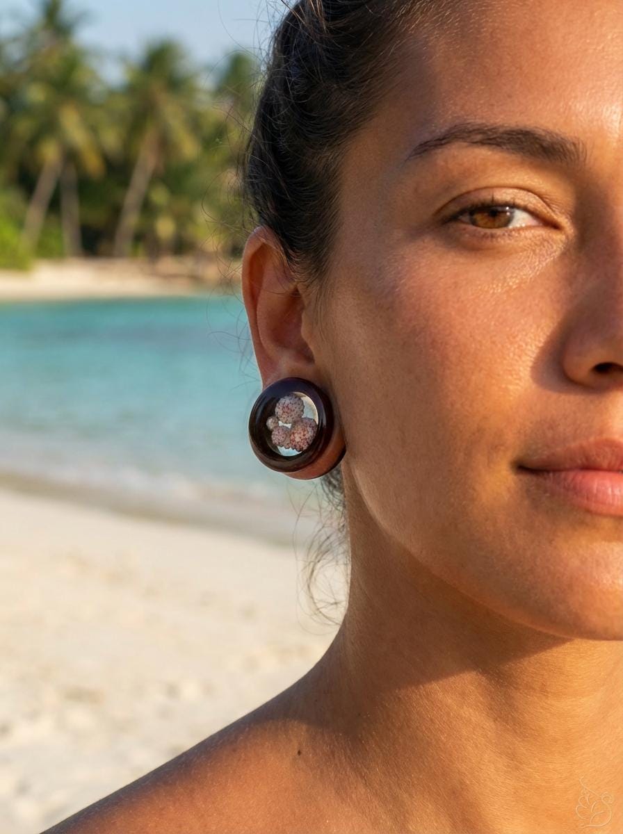 Seashell ear tunnel / Redwood earplug with Okinawan seashells